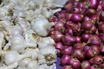 Closeup of pile of garlic and red onions at market. Garlic background.