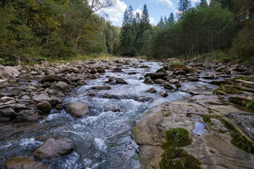 Mountain river with forest on banks in autumn overcast day
