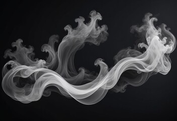 Fototapeta premium Smoke in black and white background