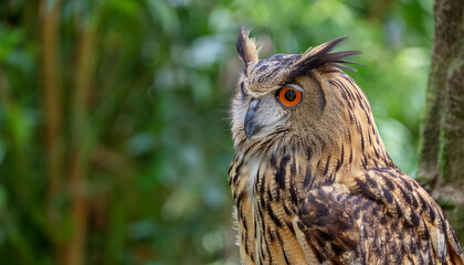 Naklejka premium A Wise Owl Perched on Tree in a Lush Garden and Copy Space