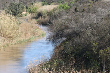 The Fish Riveer near Cradock or Nxuba, showing riverine vegetation