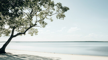 A lone tree on a sandy beach by a calm ocean under a bright sky, idyllic landscape