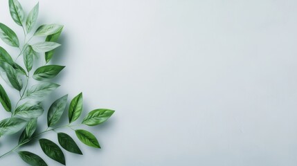 Fototapeta premium Vibrant green leaves isolated on white background perfect for natural and botanical designs, stock photography, and digital illustrations