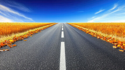 Fototapeta premium Autumnal Road with Golden Fields and Crisp Blue Sky