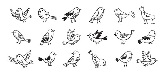 Bird doodle set. Birds hand drawn collection. Cute hand drawn bird doodles. Black on white drawing