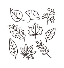 Fototapeta premium A set of hand-drawn line illustrations of various types of colorful fallen leaves with an autumn concept.