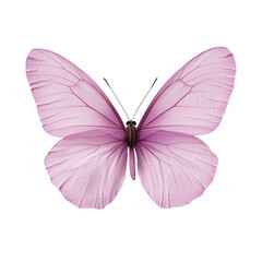 A beautiful pink butterfly with delicate wings, gracefully displayed on a white isolated background, perfect for nature-themed projects and artistic designs.