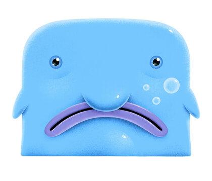 Blue Blobfish. Australian exotic fish on white. Sad deepwater animal.