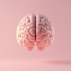 3D Illustration of Human Brain – Conceptual Medical Visualization in Pink