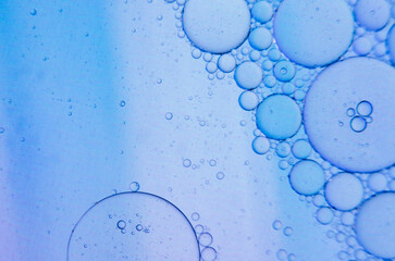 Tiny oil droplets floating on water, creating intricate rings with a soft gradient background