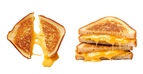 Grilled cheese sandwich, white isolate background