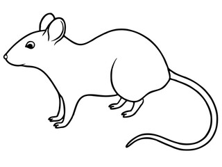 illustration of a rat, mouse, outline, for coloring 