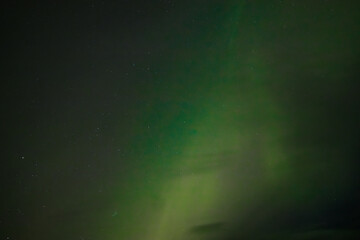 Fototapeta premium A peaceful display of the Aurora Borealis casts soft green light across the starry night sky. The gentle glow blends into the dark background, creating a serene and ethereal atmosphere.