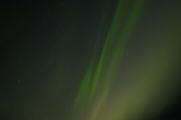  Soft green aurora borealis streaks gently across a starry night sky, creating a serene and...