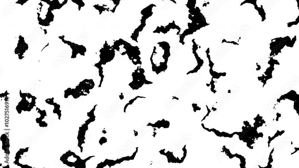 Poster Abstract fluid and wave loop background in black and white