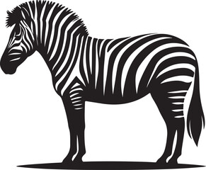 zebra vector style illustration image