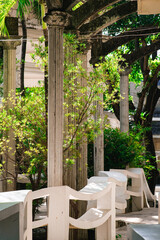 Path way in the garden.