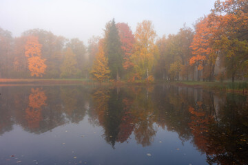 Morning autumn fog in Alexander park in Tsarskoe Selo (Pushkin), St. Petersburg, Russia