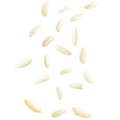 Raw Rice Grains Failing Isolated on a Transparent Background