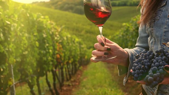 Woman drinking wine in in wineyard garden. Sommelier tasting red white wine. Close up of female hand swirling the glass to make the wine spinning.