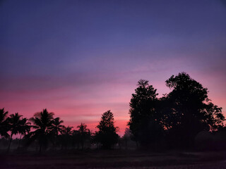 A serene winter evening in Konkan, with a blend of orange and bluish hues filling the sky....
