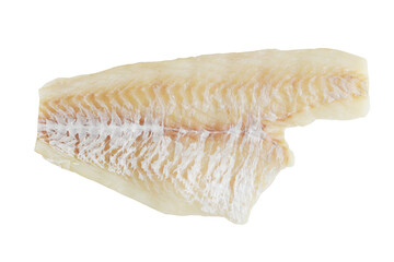 isolated raw haddock fish fillet