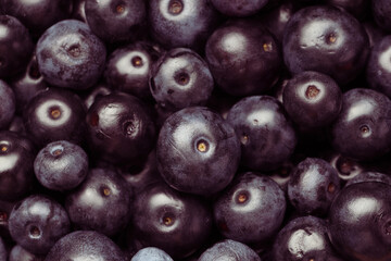 Ripe acai berries as background, top view