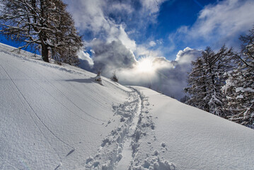 Ski trace in the fresh snow