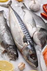 Fresh raw sea food and products on white tiled table, closeup
