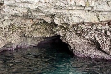 Costa rocciosa a Santa Maria di Leuca nel Salento, Grotte marine 2877