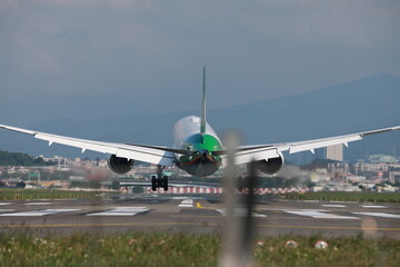 Naklejka premium Twin-aisle aircraft.