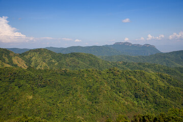 Obraz premium rain forest at Khao Kho, Phetchabun, Thailand