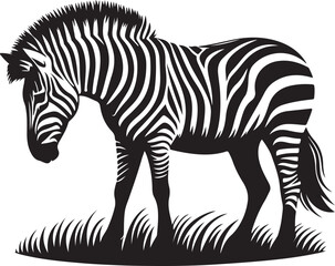 zebra vector style illustration image 
