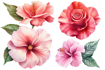 Set of watercolor roses