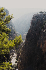 View from the top of a narrow deep mountain gorge with sheer stone walls and rare bushes, Aradena Gorge, Crete, Greece