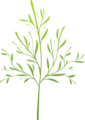 Fototapeta premium Abstract plant, grass over white background