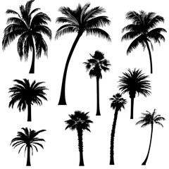 Palm Tree Silhouettes: Tropical Paradise: A set of nine palm tree silhouettes in various poses and sizes, perfect for creating a tropical atmosphere in your designs.