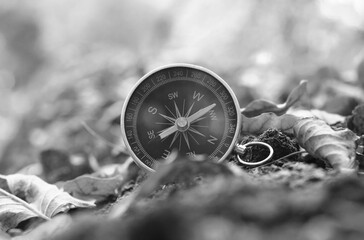 Classic navigation compass on natural background