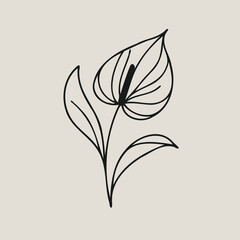 set of contour spring flowers Spathiphyllum
line art floral, leaves
black and white illustration Anthurium
set of decorative elements of plants stylized Aglaonema, Calla