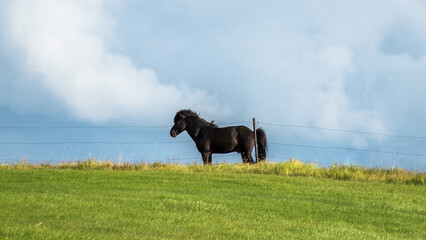 Shots around Reykjanes Peninsula, Iceland 