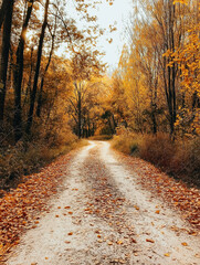 Fototapeta premium A winding dirt road covered in fallen leaves, surrounded by tall trees with vibrant autumn foliage, creating a peaceful forest scene.