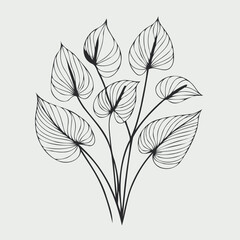 Adobe Illustrator Artwork
set of contour spring flowers Spathiphyllum
line art floral, leaves
black and white illustration Anthurium
set of decorative elements of plants stylized Aglaonema, Calla