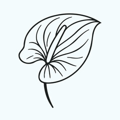 Adobe Illustrator Artwork
set of contour spring flowers Spathiphyllum
line art floral, leaves
black and white illustration Anthurium
set of decorative elements of plants stylized Aglaonema, Calla