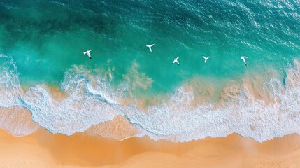 Aerial view of a pristine beach with turquoise water and white sand.  Five birds are flying above the turquoise water.