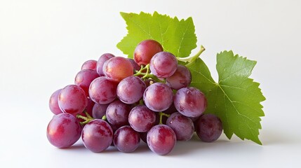 Fototapeta premium image of the grapes. on a white background. cut off 