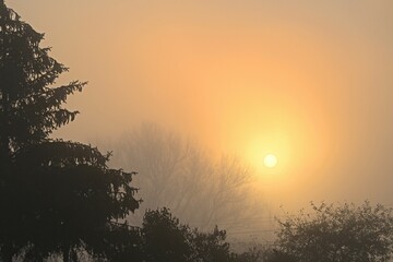 Mglisty poranek © grzegorz