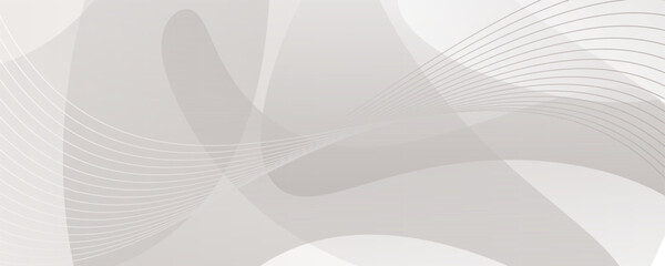 White background modern abstract with dynamic curve line elegant. Vector illustration template design