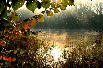 Jeziorko w porannej mgle © grzegorz