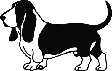 beagle dog vector illustration