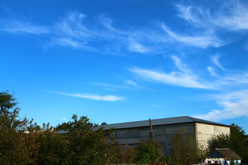 A house with trees in the front